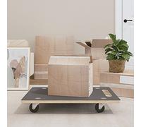 vidaXL Pedane di Trasporto 2 pz Rettangolari 80x55x11,5 cm 250 kg