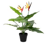 vidaXL Pianta Artificiale Strelitzia Verde 65 x 13 x 55 cm
