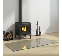 vidaXL Piastra in vetro per camino Trasparente 120 x 60 cm Vetro
