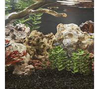 vidaXL Pietre del Drago 25 kg Colori Misti 10-30 cm