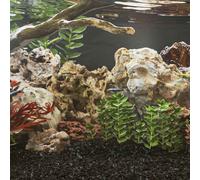 vidaXL Pietre del Drago 25 kg Grigie 10-40 cm