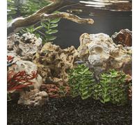 vidaXL Pietre del Drago 25 kg Marroni 5-30 cm