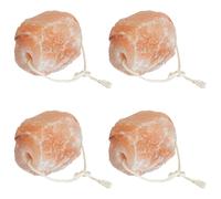 vidaXL Pietre di Sale da Leccare 4 pz Rosa Sale Rock