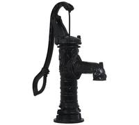 Pompa d'acqua manuale da giardino in ghisa