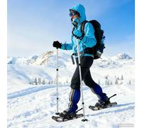 vidaXL Racchette da neve 3 in 1 con bastoni da trekking Argento e Nero