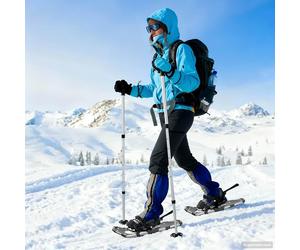 vidaXL Racchette da neve 3 in 1 con bastoni da trekking Argento e Nero