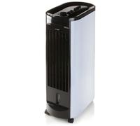 VIDAXL - Raffrescatore d'Aria 67 cm 70 W Nero e Bianco