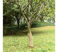 vidaXL Rotolo di iuta 0,5x25 m 100% iuta 200 gsm