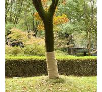 vidaXL Rotolo in Iuta 1x25 m 100% Iuta 200 gsm