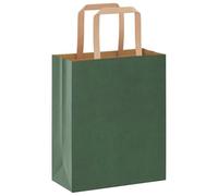 vidaXL Sacchetti di Carta 250 pz con Manici Verdi 18x8x22 cm, Sacchetto di Carta, Sacchetto Regalo di Carta, Sacchetto Regalo di Carta