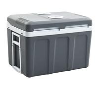 vidaXL Scatola Termoelettrica Portatile 45 L 12 V 230 V A++