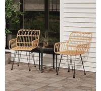 vidaXL Sedie da Giardino 2pz con Braccioli 56x64x80 cm Rattan PE