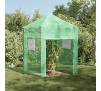 vidaXL Serra con tetto Verde 200 x 200 x 300 cm Acciaio