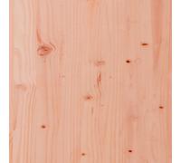 vidaXL Set da Gioco da Esterno in Legno Massello di Douglas