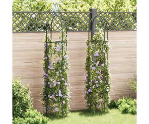 vidaXL Set Torri ad Arco 2 pz per Piante Rampicanti da Giardino