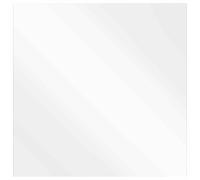 vidaXL Specchio da Parete Quadrato 60 x 60 cm Vetro temperato, Specchio Moderno per Il Bagno, Decorazione Elegante da Parete, Vetro temperato Senza Cornice, Pezzo Riflettente Minimalista
