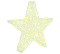 vidaXL Stella 3D con 50 LED Bianco caldo 55 x 53.5 x 10 cm Acrilico, Addobbo di Natale a forma di stella, moderno per il soggiorno, resistente, con luci LED, decorazione minimalista