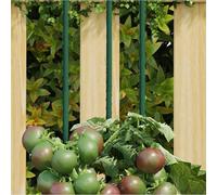 vidaXL Supporti per Piante da Giardino 30 pz Verde 150 cm Acciaio