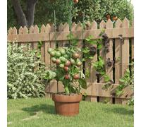vidaXL Supporti Piante da Giardino con 3 Anelli 5pz Verde 60cm Acciaio