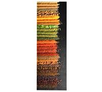 vidaXL Tappetino da Cucina Lavabile Design Spezie Complementi Arredo Tessili Stoino Passatoia Moquette Tappetino Casa Tappeto Stuoino