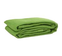 vidaXL Tappeto da Tenda Verde Chiaro 300x400 cm HDPE, Tappeto, Tappeto da Campeggio, Tappeto da Patio, Tappeto da Esterno, Tappetino, tappeti