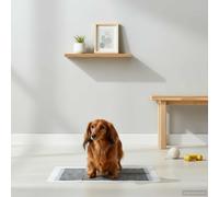 vidaXL Telo per addestramento per animali in tessuto non tessuto 200 pz