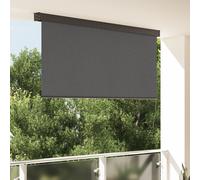 vidaXL Tenda a Rullo Esterna Rigato Regolabile Antracite 220 x 250 cm Tessuto