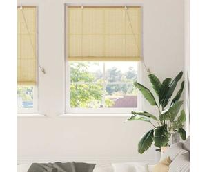 vidaXL Tenda a rullo Natura 120 x 220 cm Bambù