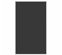 vidaXL Tenda a Rullo Oscurante 120x175 cm Nera Tapparelle Persiane Tendaggi