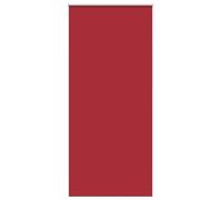 vidaXL Tenda a Rullo Oscurante Argento Riflettente con Catena Tapparelle Veneziane Persiane Tendaggi Casa Guida PVC 120x230 cm Rossa