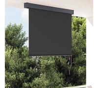vidaXL Tenda a Rullo per Esterni 120x250 cm Antracite