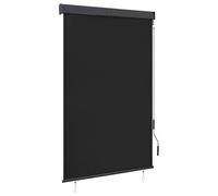 vidaXL Tenda a Rullo per Esterni 120x250 cm Antracite