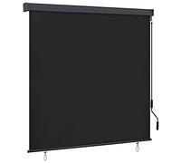 vidaXL Tenda a Rullo per Esterni 160x250 cm Antracite