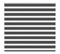 vidaXL Tenda a Rullo Zebra Nero Larghezza Tessuto 160,9 cm Poliestere