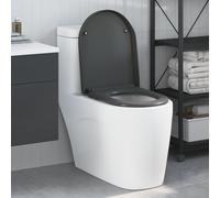 vidaXL Toilette a rilascio rapido con chiusura morbida in Duroplast Antracite