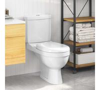 vidaXL Toilette con Cisterna Bianca Gabinetto Bagno Sciacquone Vaso WC Scarico