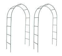 vidaXL Archi da Giardino 2 pz per Piante Rampicanti