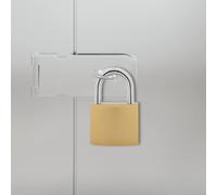 vidaXL U Lock con Chiavi 2 pcs Ottone Ferro