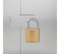 vidaXL U Lock con Chiavi 6 pcs Ottone Ferro