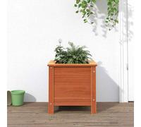 vidaXL Vaso da Giardino Marrone Cerato 40 x 40 x 39 cm Pino massello, Giardino e Terrazza, Rettangolare, Transizione, ClassicoTradizionale, Eleganti Percorsi e Piante Che Crescono Insieme alla Natura