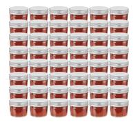 vidaXL Vaso per Marmellata in Vetro Coperchio Argento 48 pz 110 ml