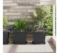 vidaXL Vaso quadrato per fiori 24 pcs Nero 33 x 33 x 26 cm Plastica