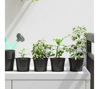 vidaXL Vaso Rotondo per Fiori 200 pz Nero Ø 10 x 8 cm Plastica
