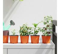 vidaXL Vaso Rotondo per Fiori 200 pz Terracotta Ø 10 x 8 cm Plastica