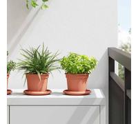 vidaXL Vaso Rotondo per Fiori 24 pcs Rosso Mattone Ø 12,5 x 10 cm