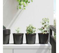 vidaXL Vaso Rotondo per Fiori 50 pz Nero Ø 15 x 13 cm Plastica