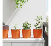 vidaXL Vaso Rotondo per Fiori 50 pz Terracotta Ø 15 x 13 cm Plastica