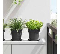 vidaXL Vassoio Rotondo per Fiori 6 pcs Nero Ø 15,5 x 2 cm Plastica