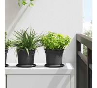 vidaXL Vassoio Rotondo per Fiori 6 pz Nero Ø 14 x 2 cm Plastica