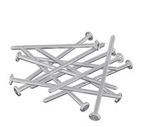 vidaXL Vite 12 pcs Argento M6 x 120 mm Acciaio, Avventure, cilindriche, spedizioni, di notte, mostrando vedute uniche ed esperienze indimenticabili durante il viaggio